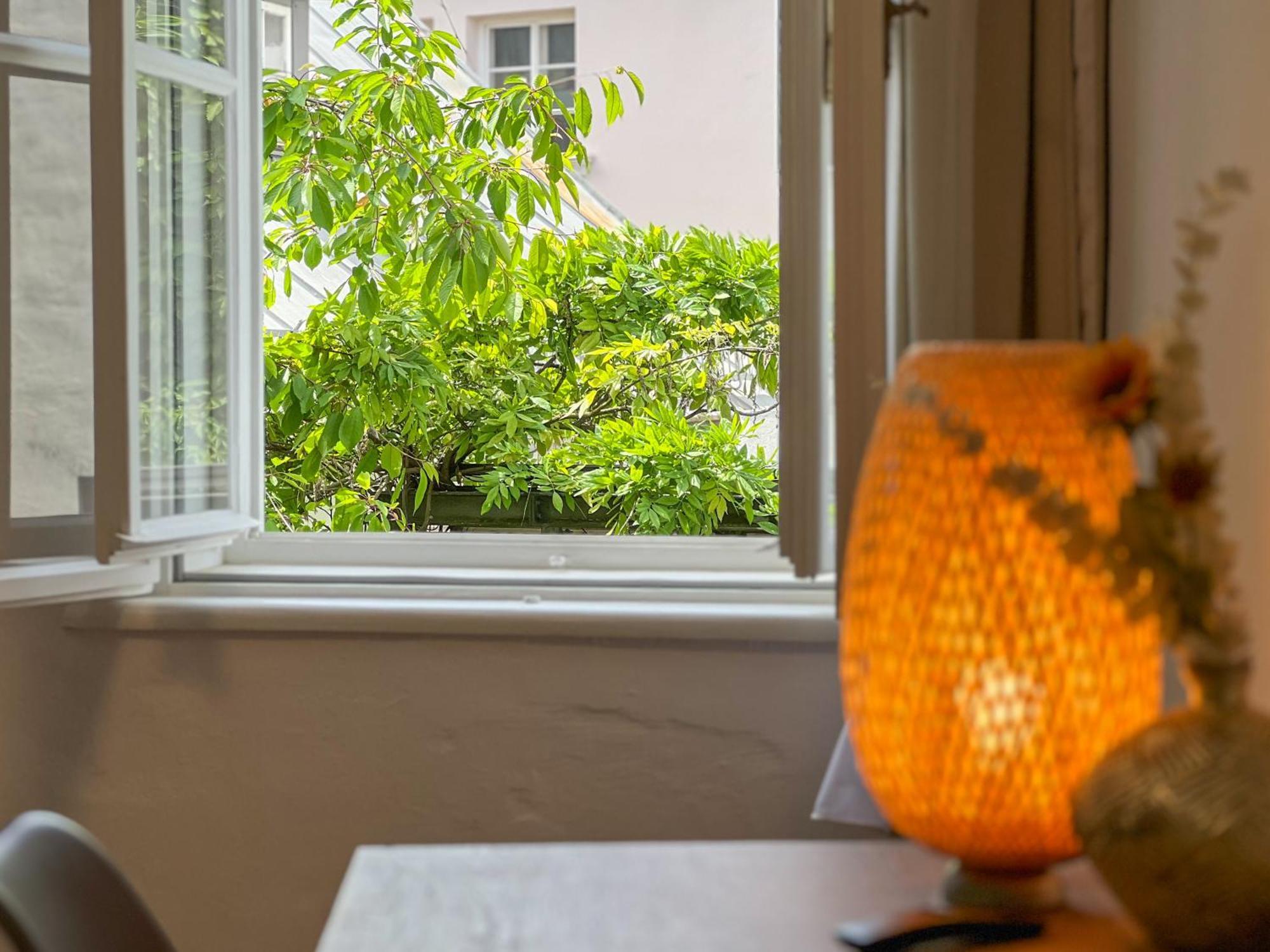 Apartments Salzburg - Bergstrasse Dış mekan fotoğraf